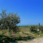 בית נופש Chiara מונטאלגרו